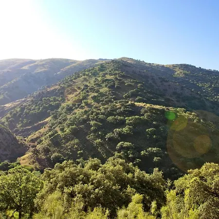 فندق Rural Molino Del Puente 3*