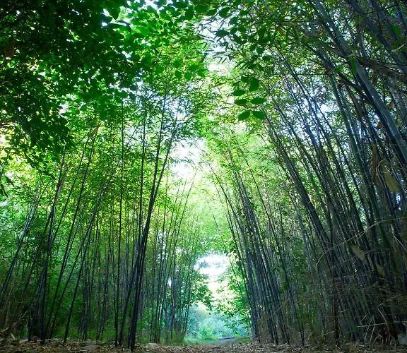 Rural Molino Del Puente Готель