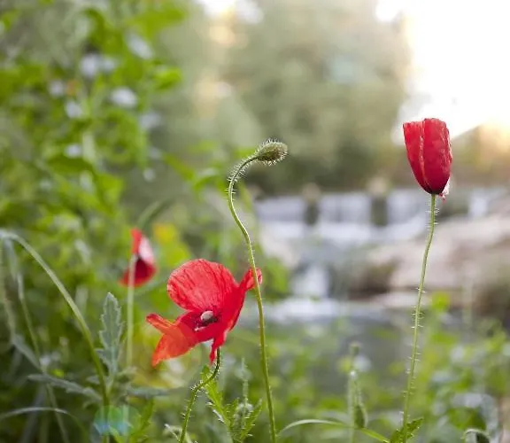 Rural Molino Del Puente 3* Ронда