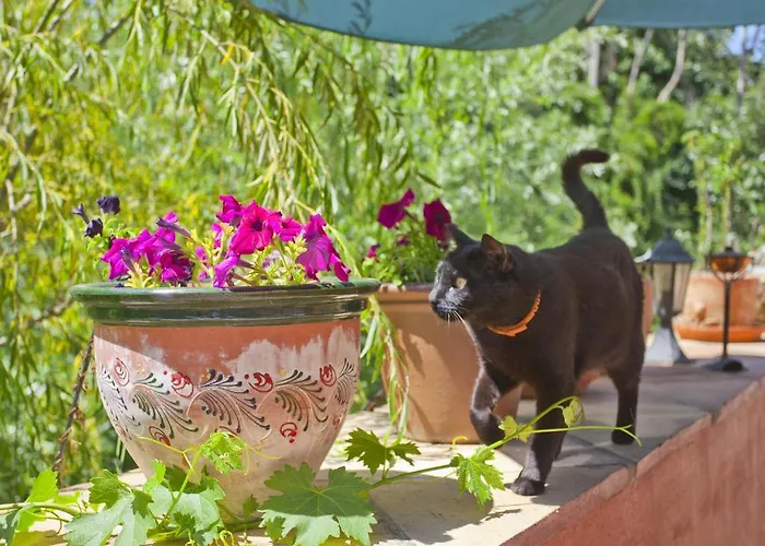 Готель Rural Molino Del Puente