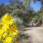 فندق Rural Molino Del Puente
