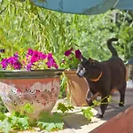 فندق Rural Molino Del Puente