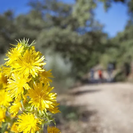 מלון Rural Molino Del Puente