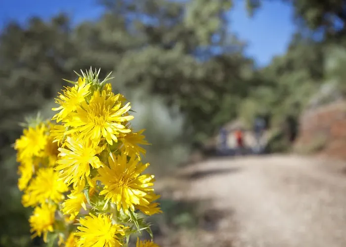 ホテル ルラル モリノ デル プエンテ