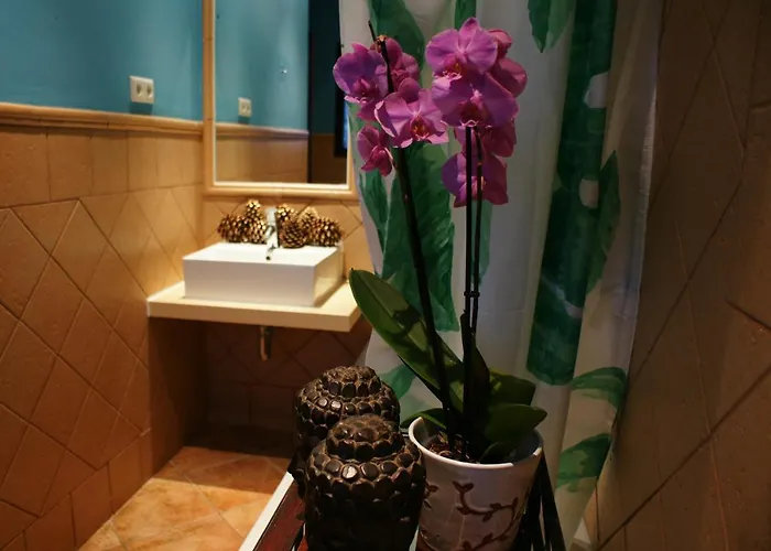 ルラル モリノ デル プエンテ 3*